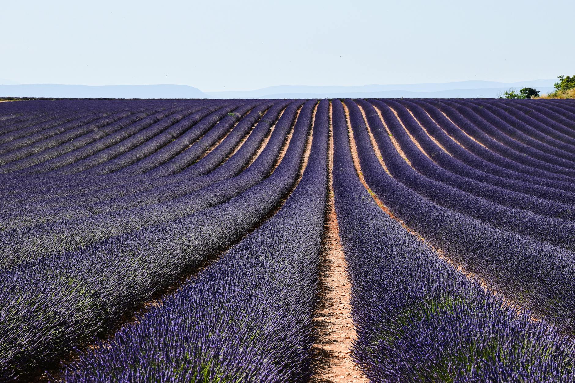 Vacanza in Francia: autoroute e Crit'Air